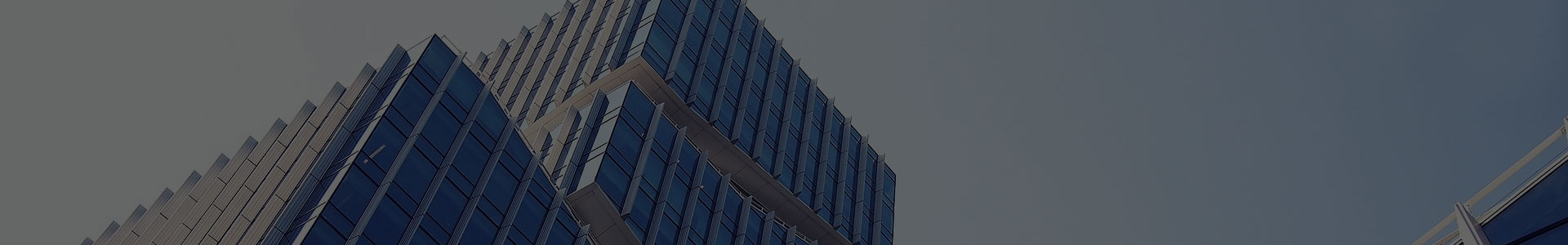 Jiaxing Xuanyi Co Trádála Idirnáisiúnta, Ltd Jiaxing Xuanyi Co Trádála Idirnáisiúnta, Ltd