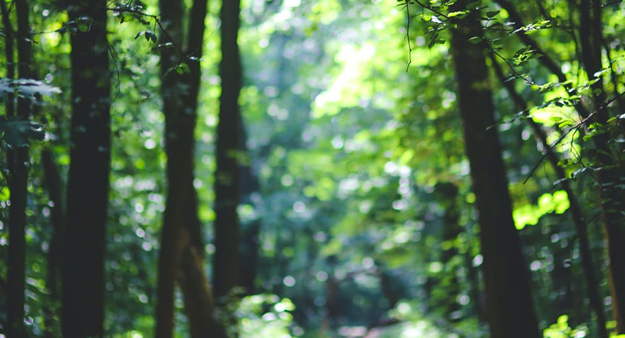 Jiaxing Xuanyi Co Trádála Idirnáisiúnta, Ltd Jiaxing Xuanyi Co Trádála Idirnáisiúnta, Ltd