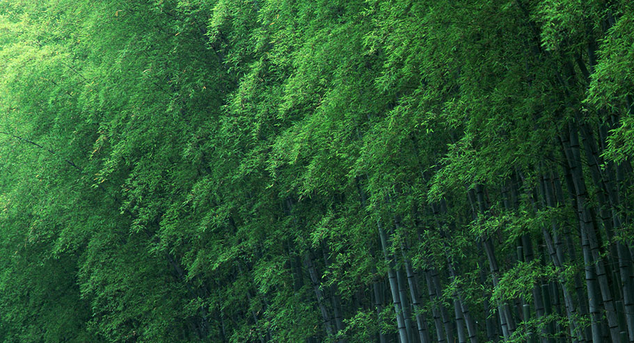 Jiaxing Xuanyi Co Trádála Idirnáisiúnta, Ltd Jiaxing Xuanyi Co Trádála Idirnáisiúnta, Ltd